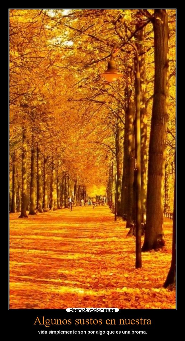 Algunos sustos en nuestra - 