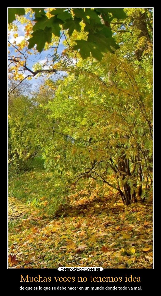 Muchas veces no tenemos idea - 