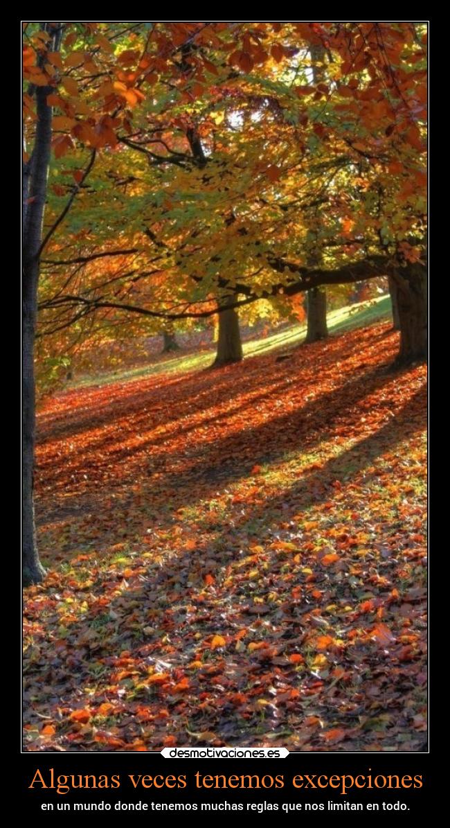 Algunas veces tenemos excepciones - 