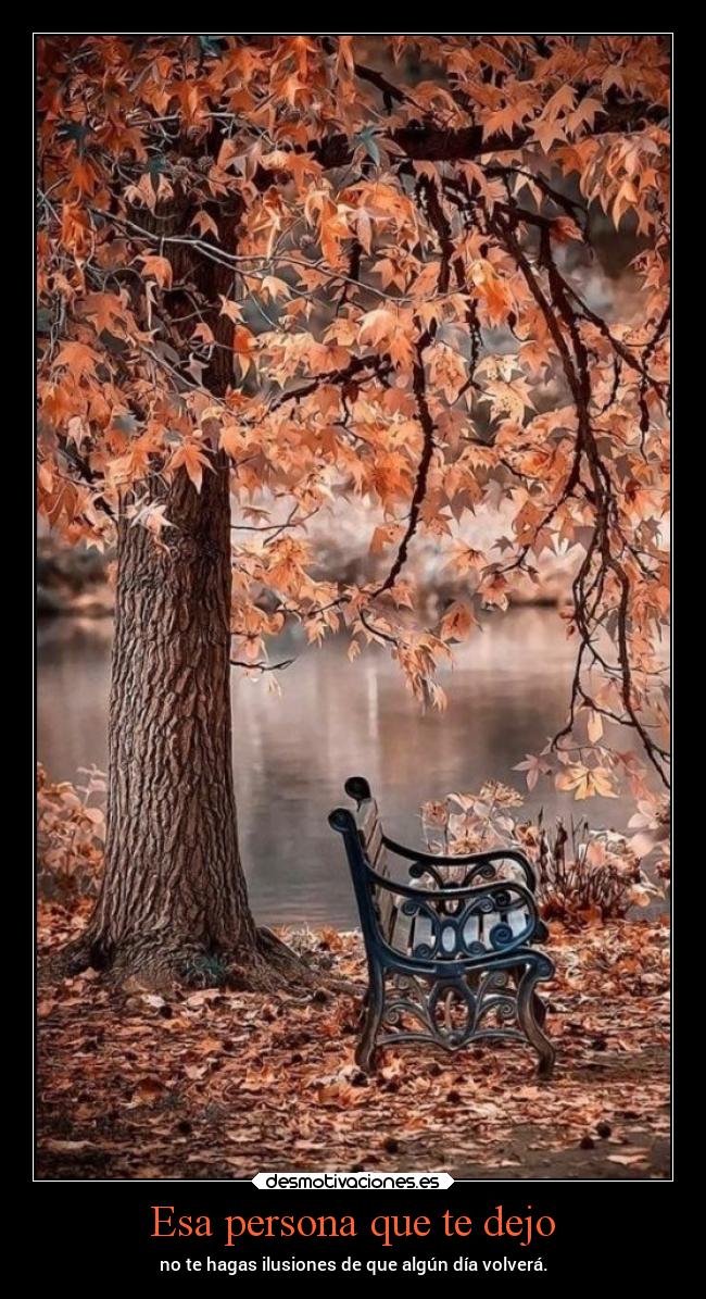 Esa persona que te dejo - 