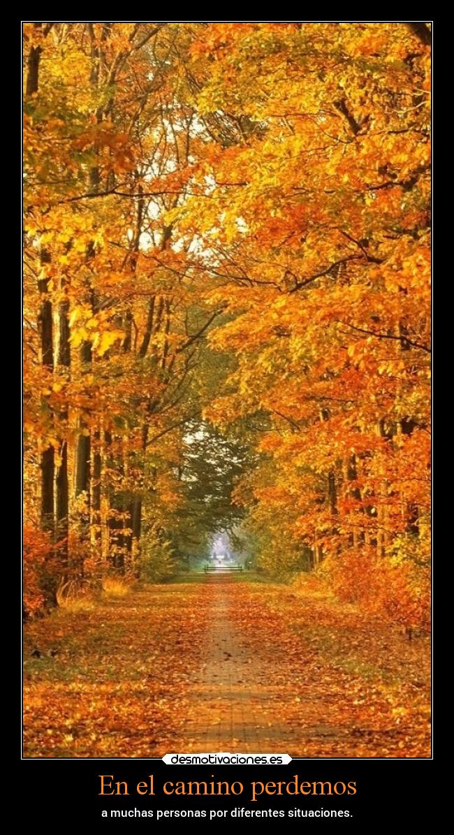 En el camino perdemos - 