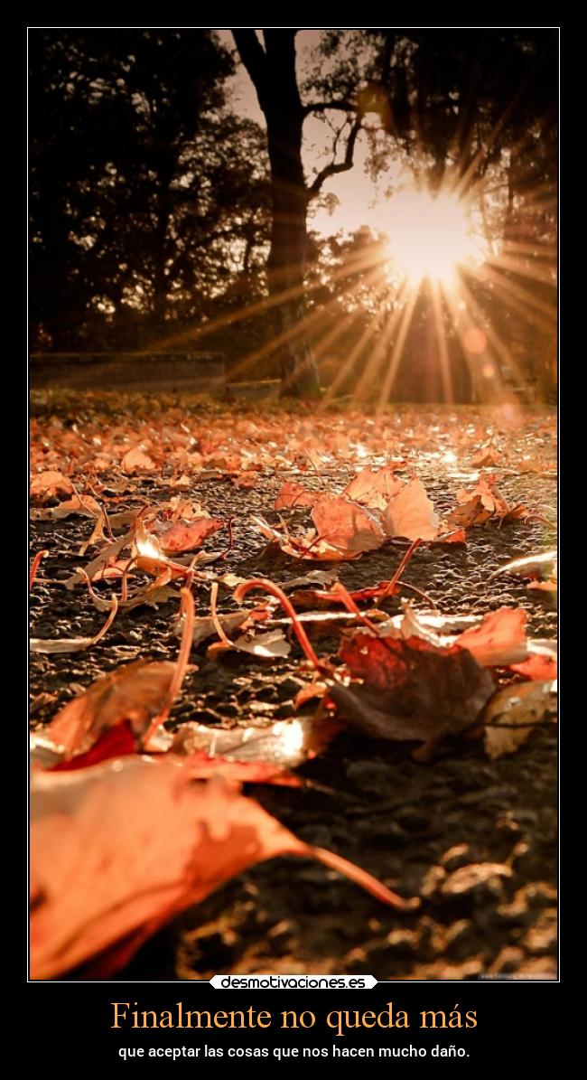 Finalmente no queda más - 