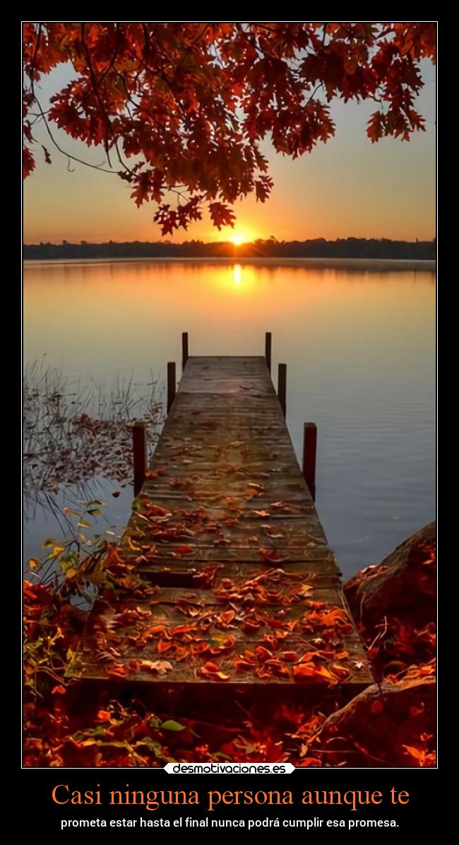 Casi ninguna persona aunque te - 