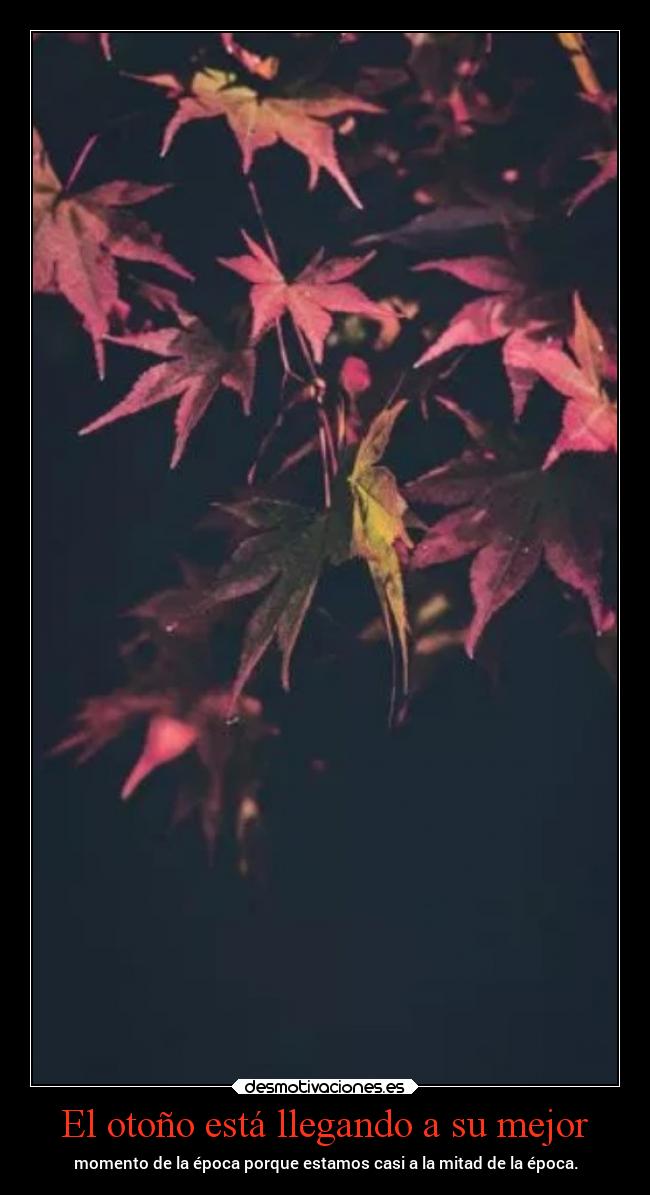 El otoño está llegando a su mejor - 