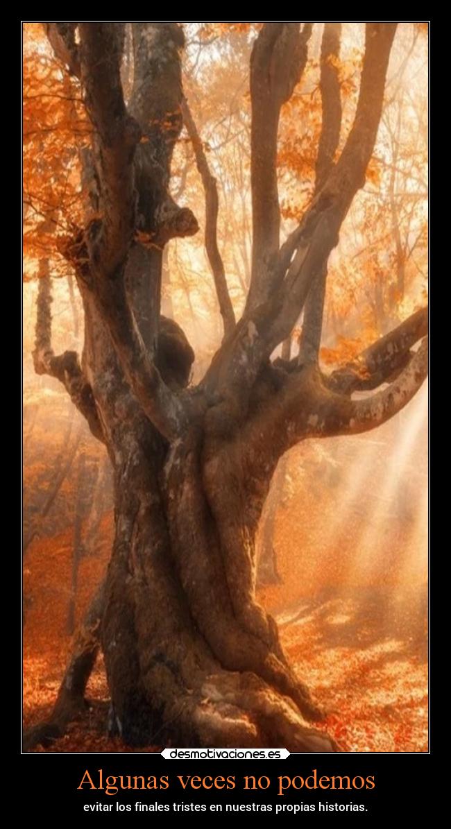 Algunas veces no podemos - 
