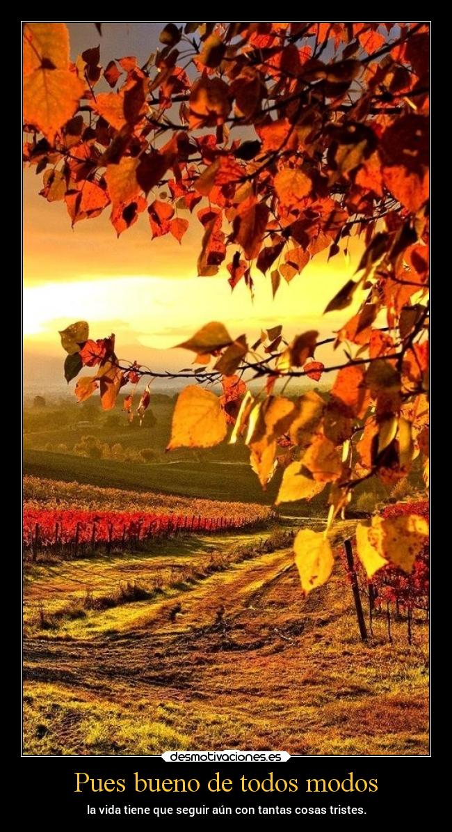 Pues bueno de todos modos - 