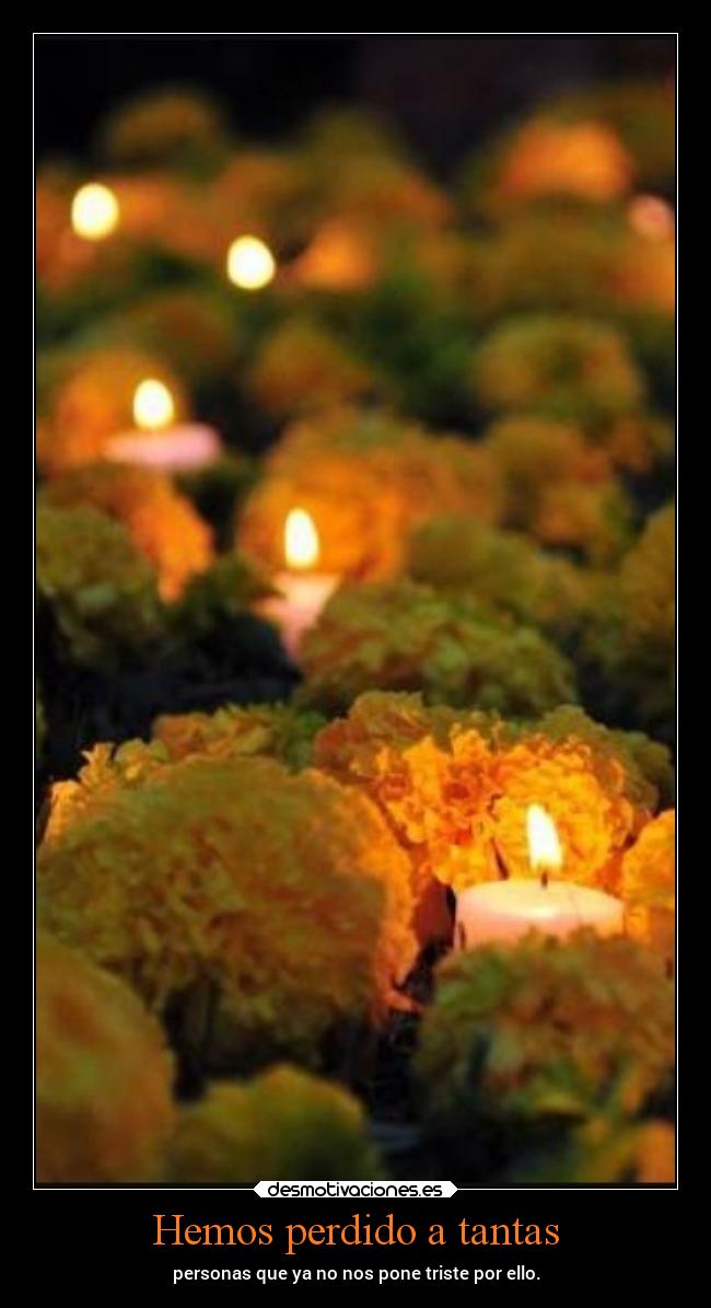 Hemos perdido a tantas - 