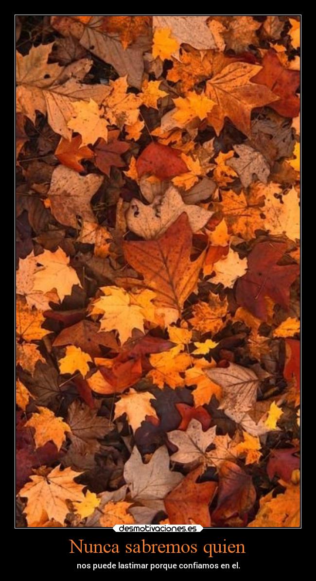 Nunca sabremos quien - 