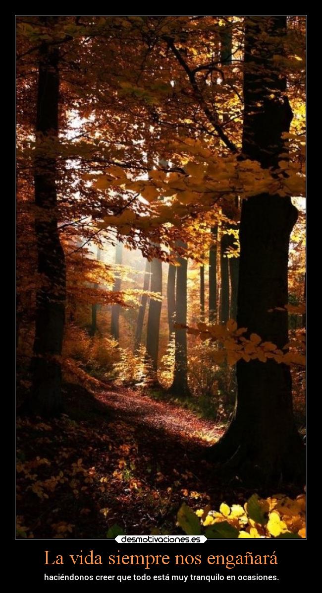 La vida siempre nos engañará - 