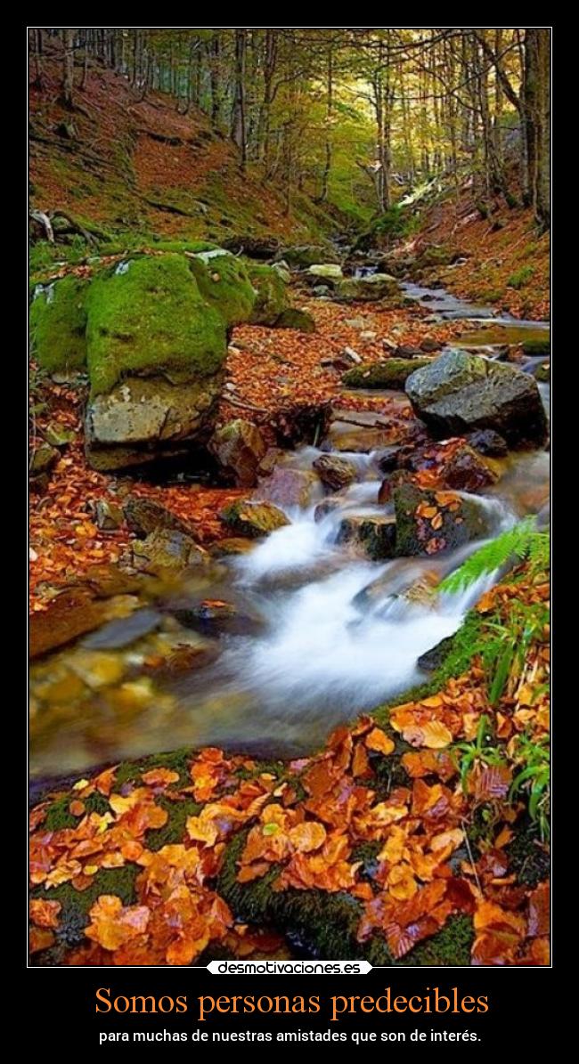 Somos personas predecibles - 