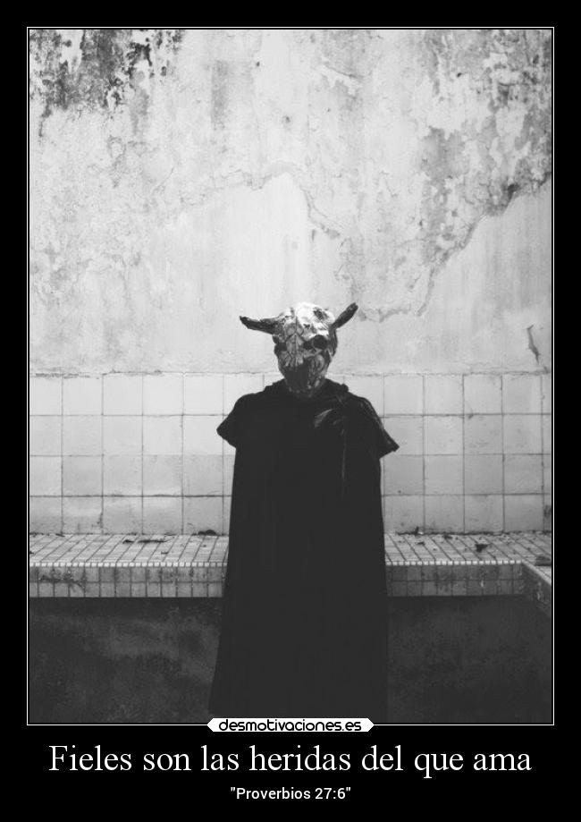 Fieles son las heridas del que ama - 