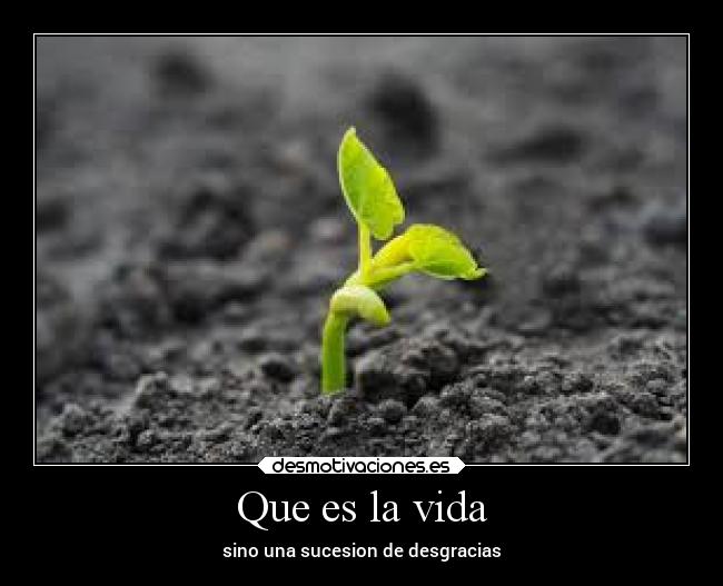 Que es la vida - sino una sucesion de desgracias