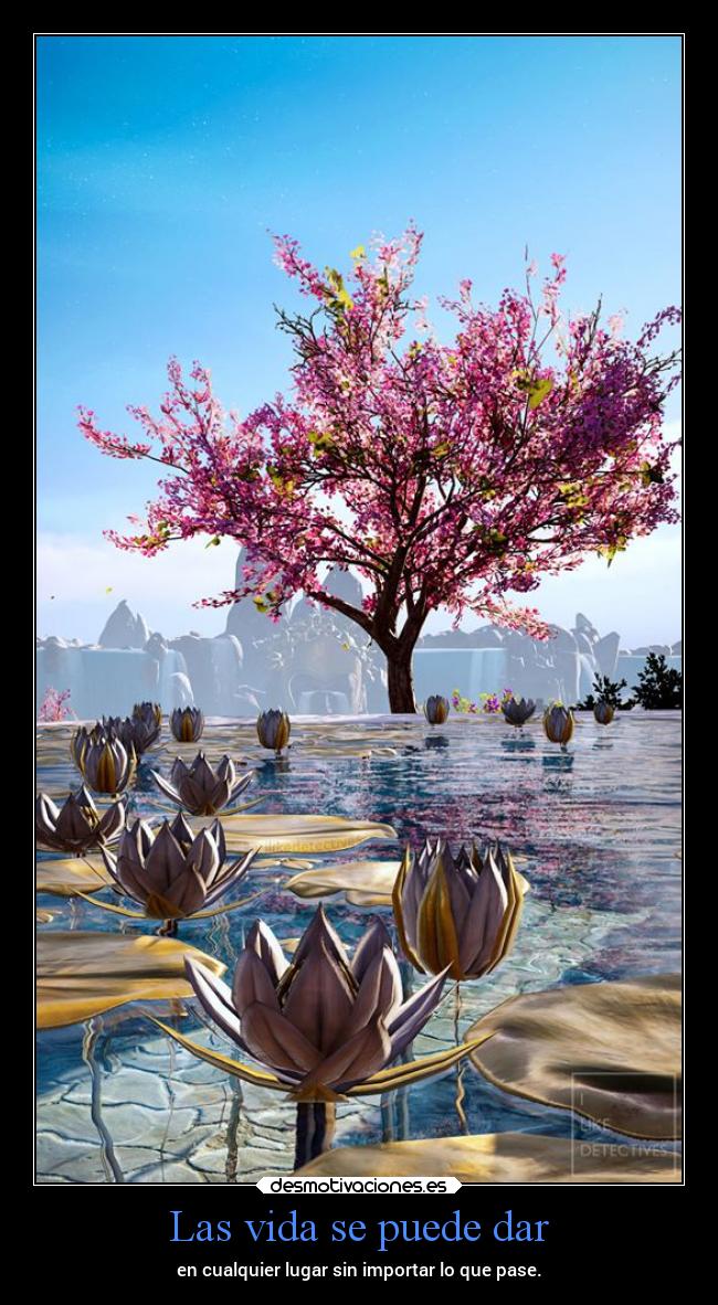Las vida se puede dar - en cualquier lugar sin importar lo que pase.