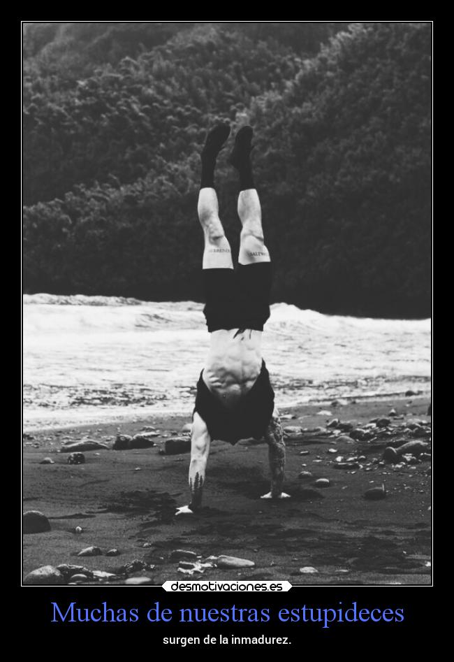 Muchas de nuestras estupideces -