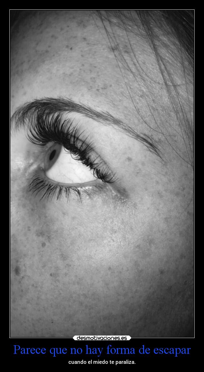 carteles vida miedo mels desmotivaciones