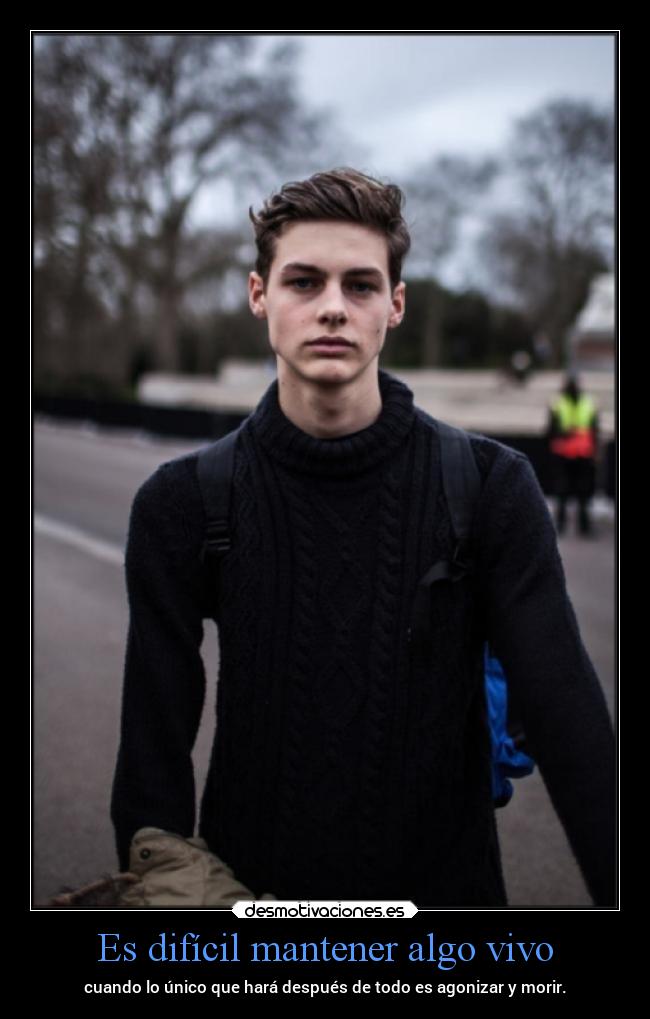 Es difícil mantener algo vivo -