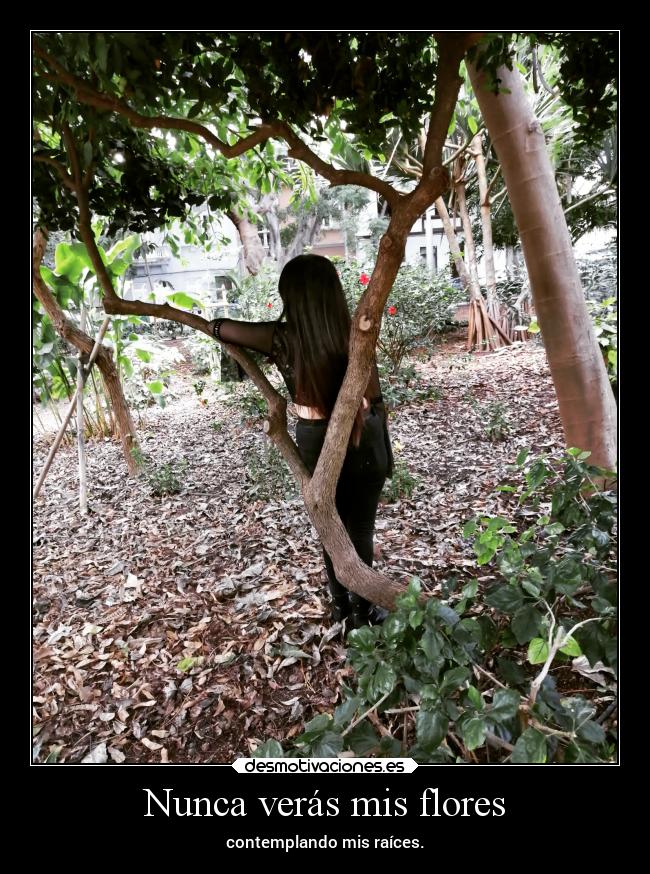 Nunca verás mis flores -