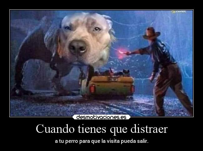 Cuando tienes que distraer - a tu perro para que la visita pueda salir.