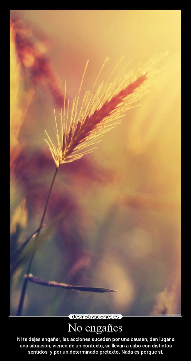 No engañes -
