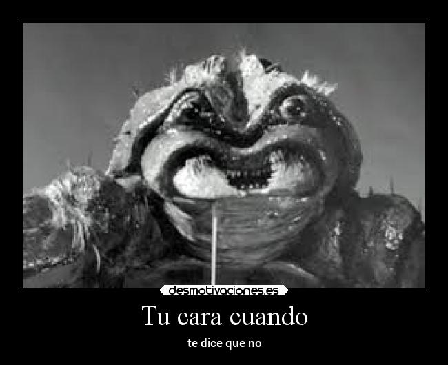 carteles chiste desamor desmotivaciones