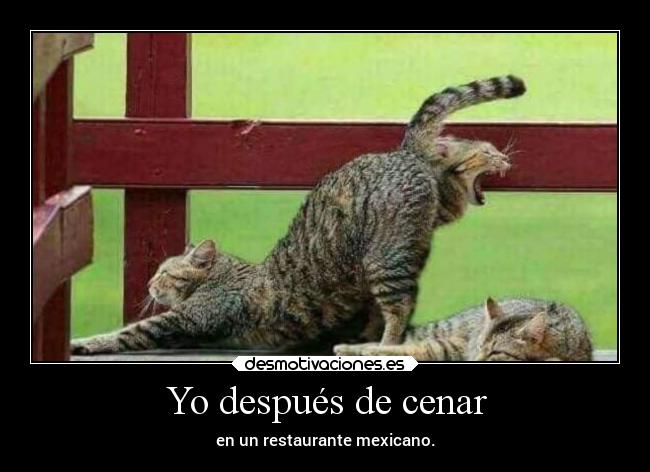 Yo después de cenar - en un restaurante mexicano.