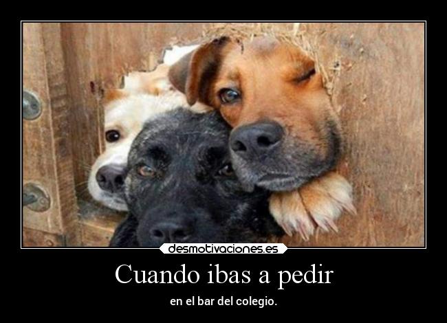 Cuando ibas a pedir - en el bar del colegio.