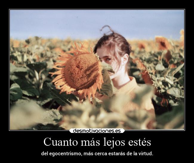 carteles desmotivaciones vida clandesplazado soyunidiotatm manada32 projectd desmotivaciones