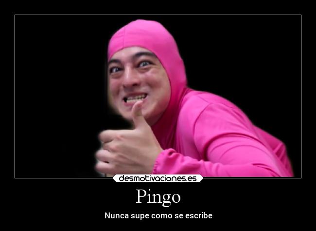 Pingo - Nunca supe como se escribe