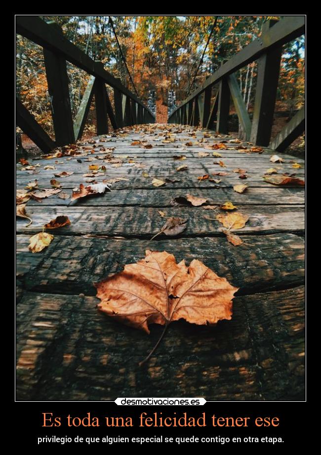 carteles felicidad vida chopper igbt opalescence suhail marina desmotivaciones