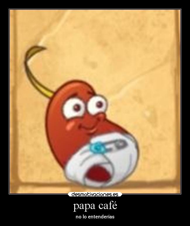 papa café -