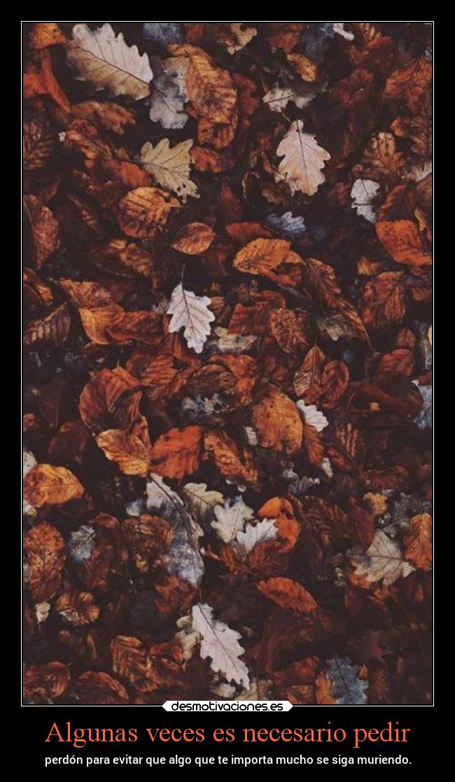 carteles vida chopper igbt opalescence suhail marina desmotivaciones