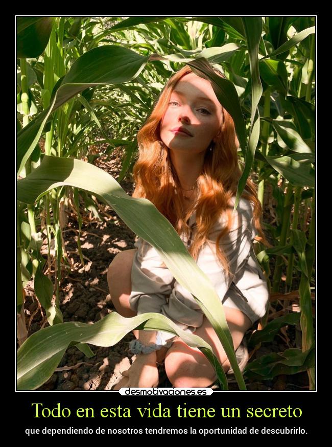 Todo en esta vida tiene un secreto -