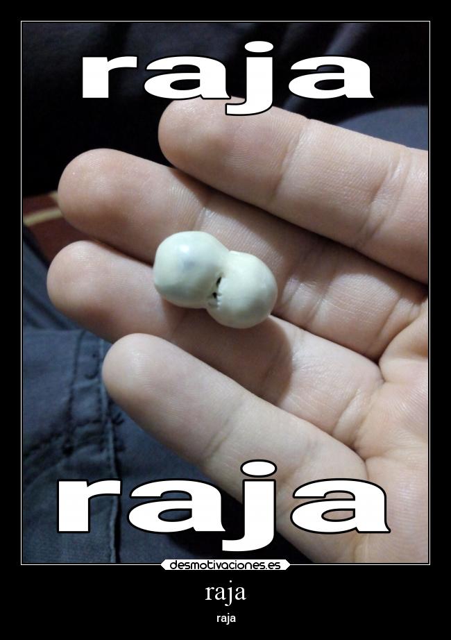 raja - raja