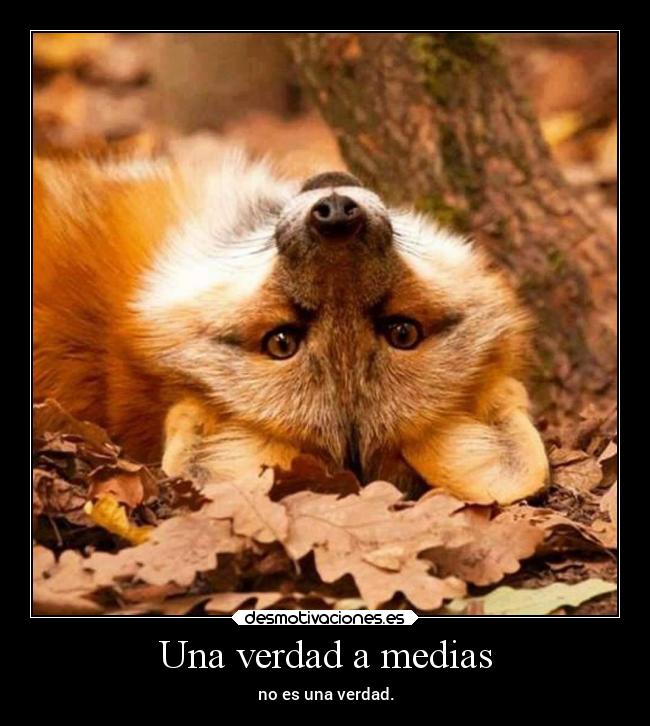 Una verdad a medias - no es una verdad.