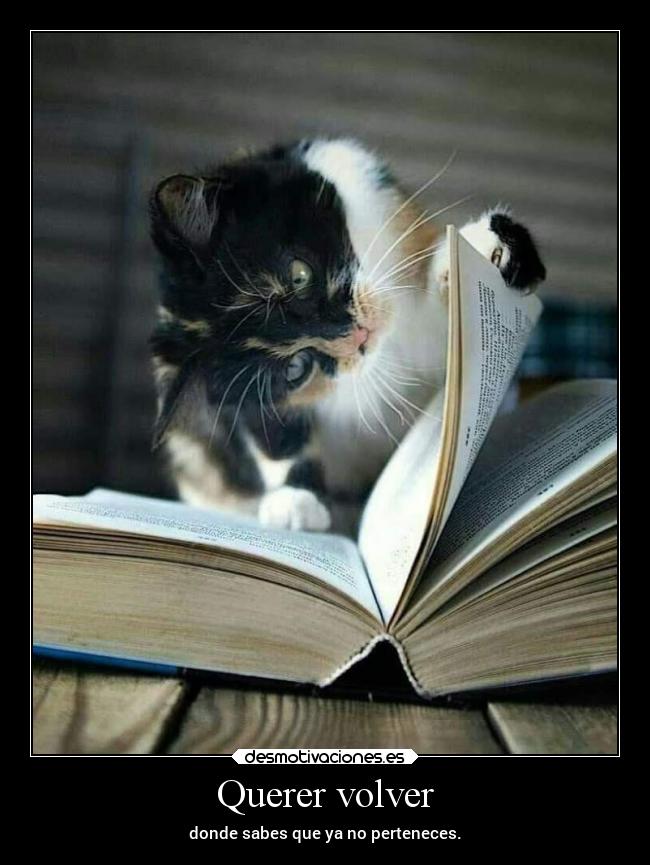 Querer volver - donde sabes que ya no perteneces.