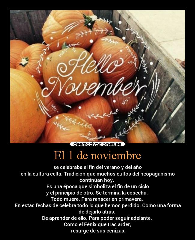 El 1 de noviembre - 