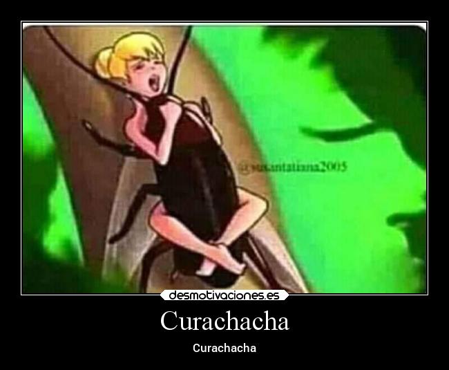 Curachacha -