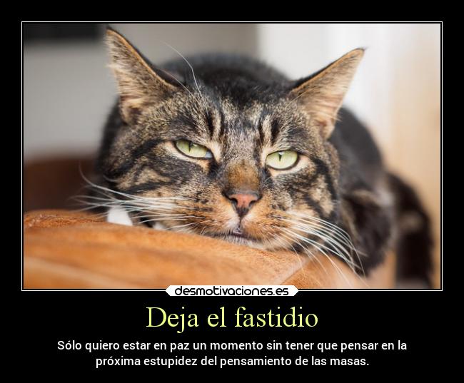 Deja el fastidio - Sólo quiero estar en paz un momento sin tener que pensar en la
próxima estupidez del pensamiento de las masas.