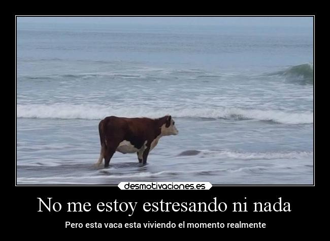 No me estoy estresando ni nada - 