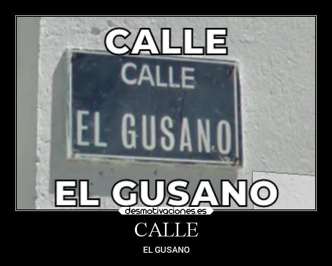 CALLE -