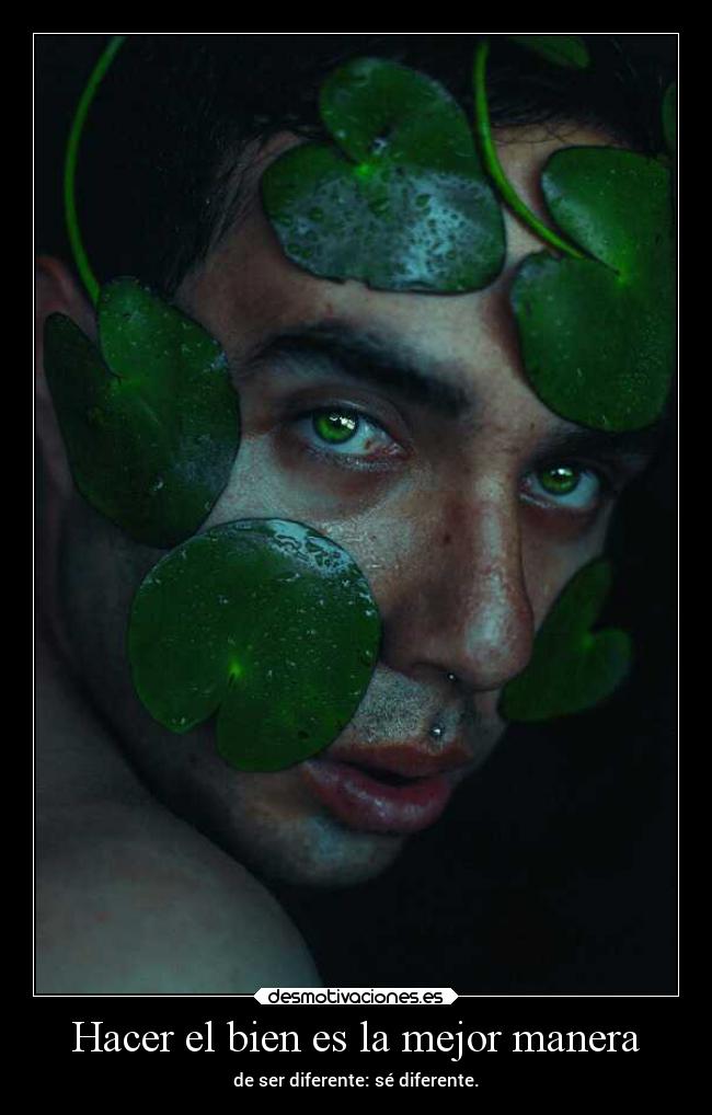 carteles desmotivaciones vida clandesplazado soyunidiotatm manada32 projectd desmotivaciones