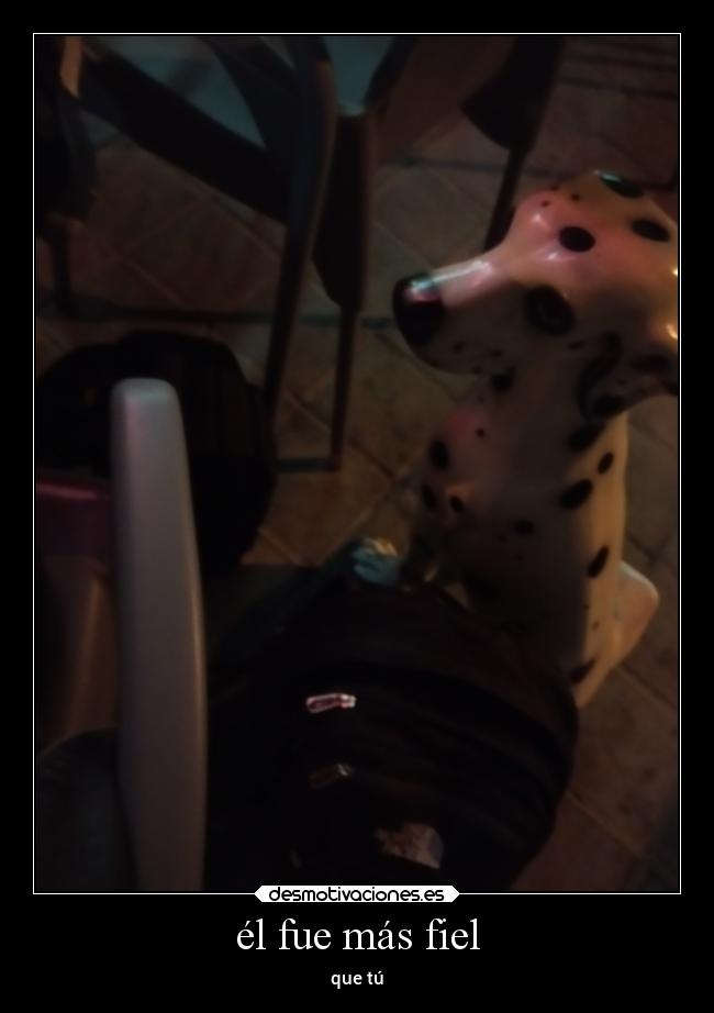él fue más fiel - que tú
