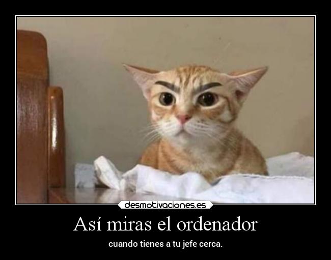 Así miras el ordenador - cuando tienes a tu jefe cerca.