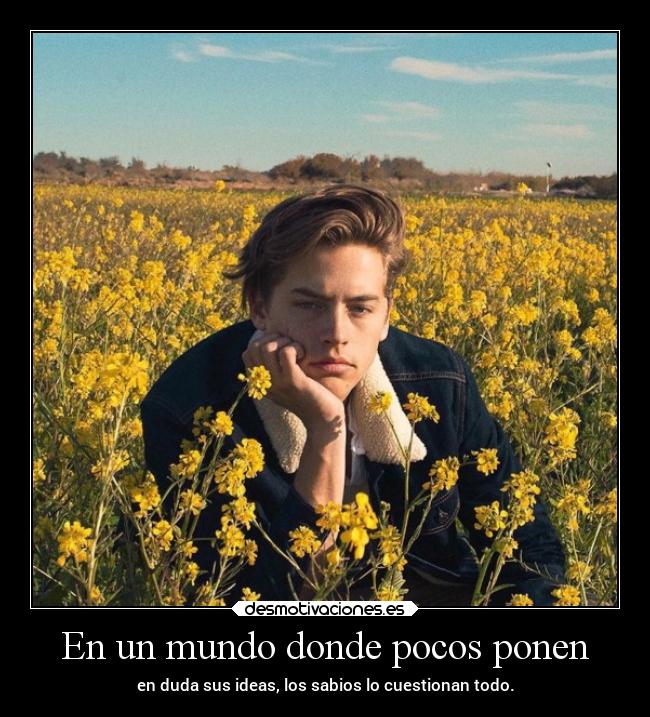 carteles mundo desmotivaciones vida clandesplazado soyunidiotatm manada32 projectd desmotivaciones