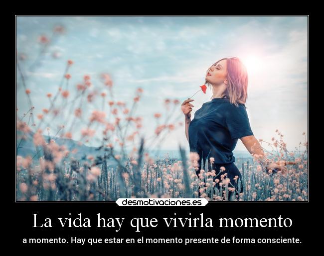 La vida hay que vivirla momento - 