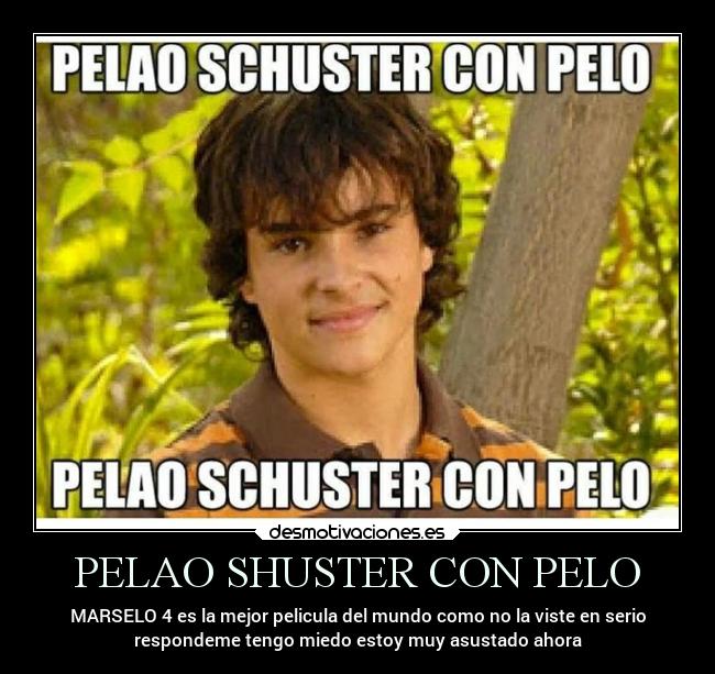PELAO SHUSTER CON PELO -