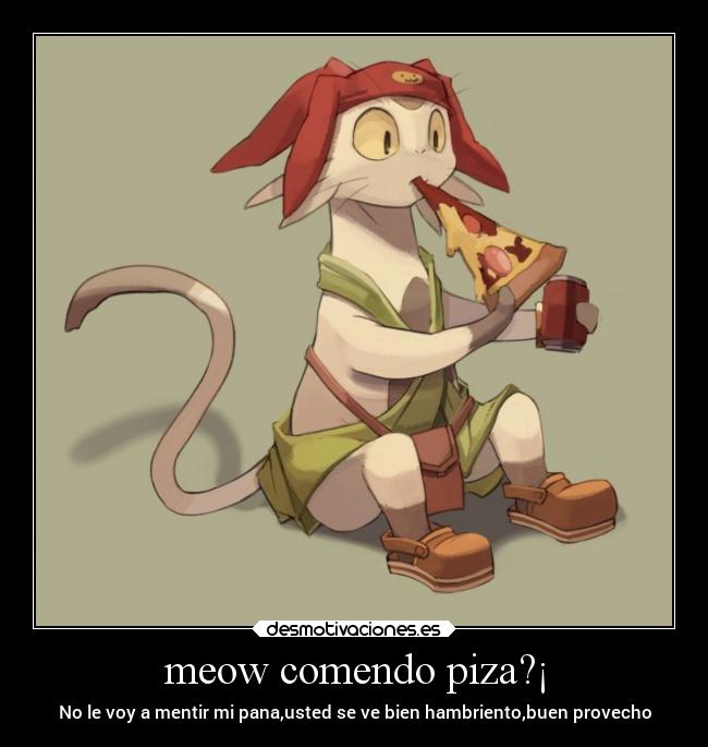 meow comendo piza?¡ -