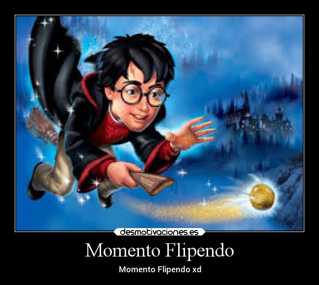 Momento Flipendo - Momento Flipendo xd