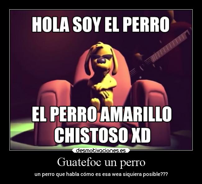 Guatefoc un perro -