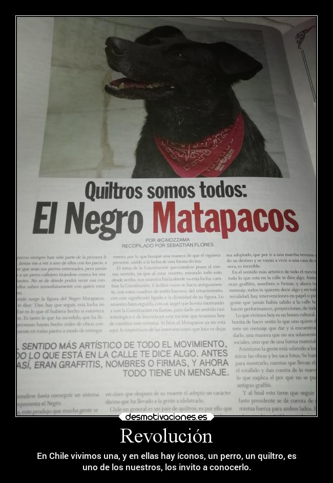 carteles animales revolucion chile desmotivaciones